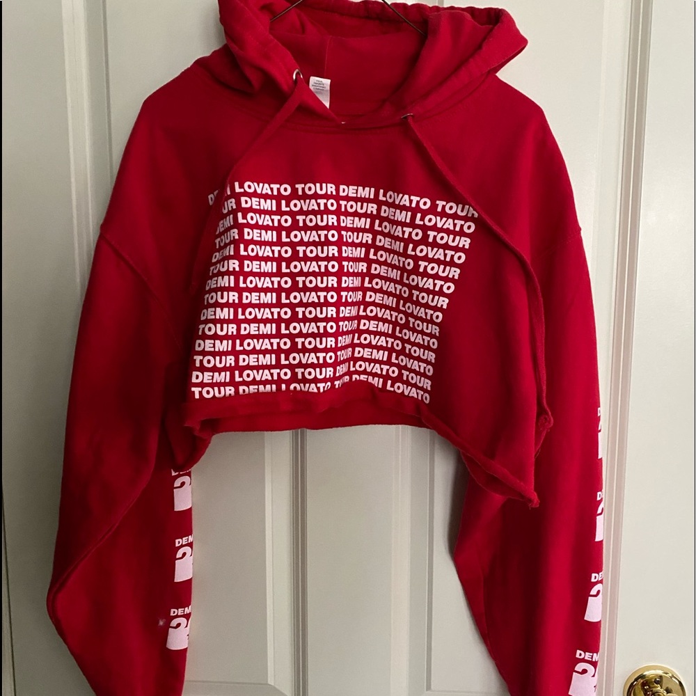Demi Lovato tour cropped hoodie